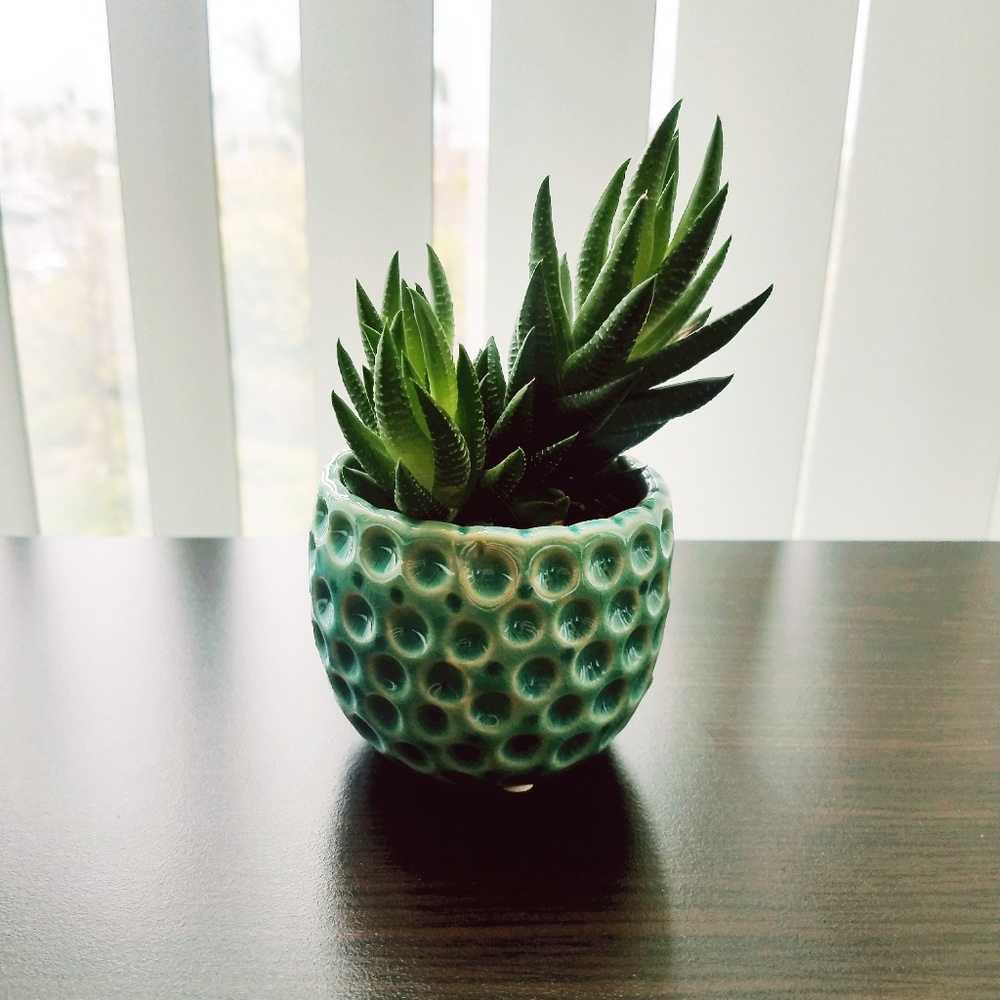 Meet your Posher, AJ